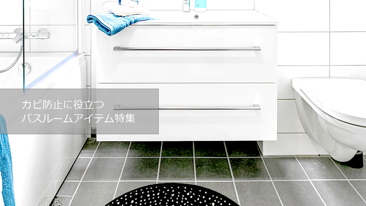 �J�r�h�~�ɖ𗧂o�X���[���A�C�e�����W�o�i�[